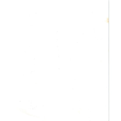 Vintage US Military Airplane Photo Print Republic P-47 Thunderbolt 8x10" AD4