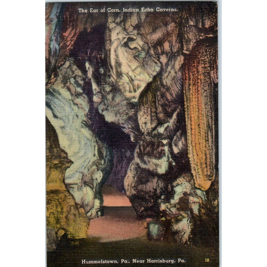 Vintage Postcard The Ear of Corn Indian Echo Cavern Hummelstown PA TD9-P1