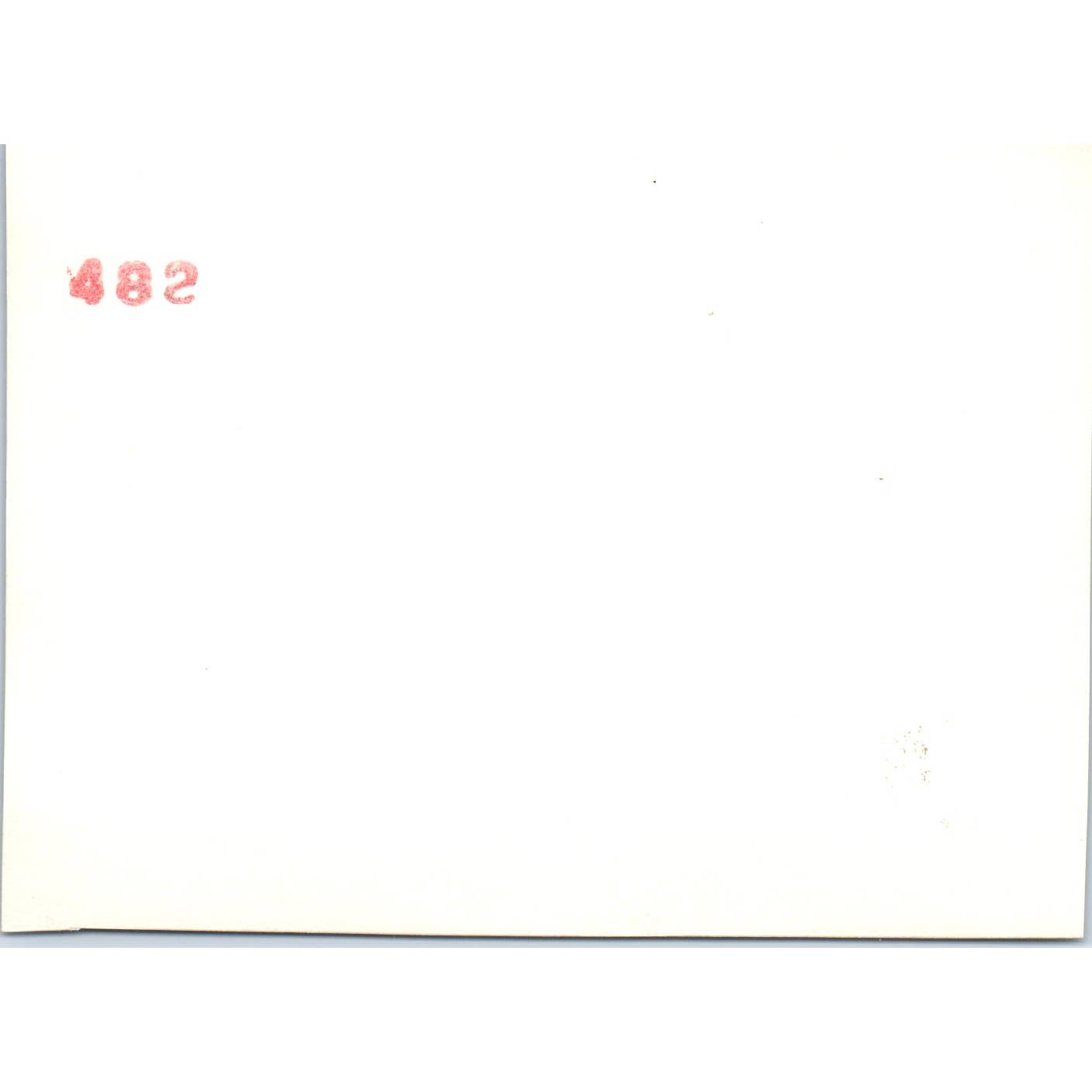 c1930 Original Photo Husky Dog and Tabby Cat 4.5x3.5 TJ9-PG7