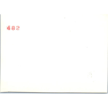 c1930 Original Photo Husky Dog and Tabby Cat 4.5x3.5 TJ9-PG7