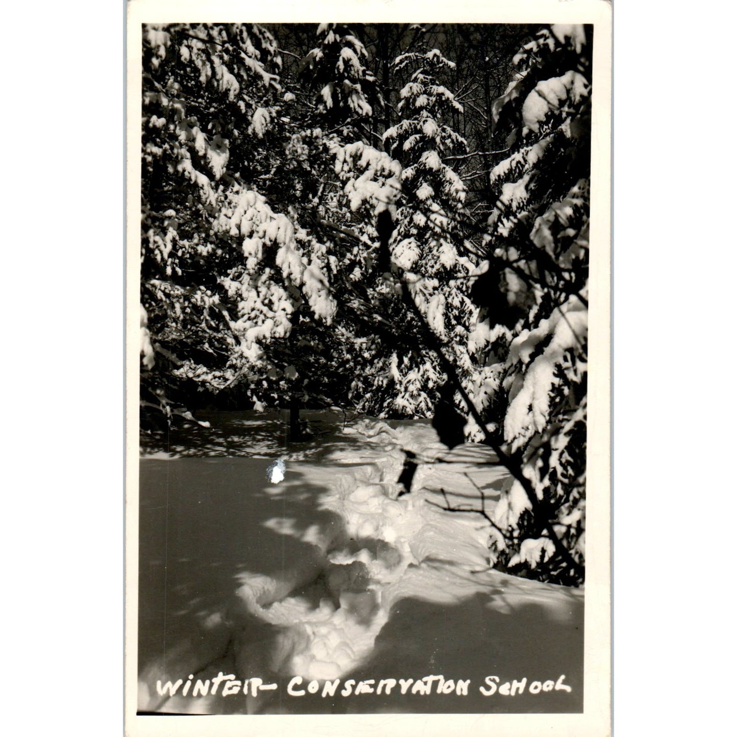 Winter Conservation School 1947 Original Postcard P3-3