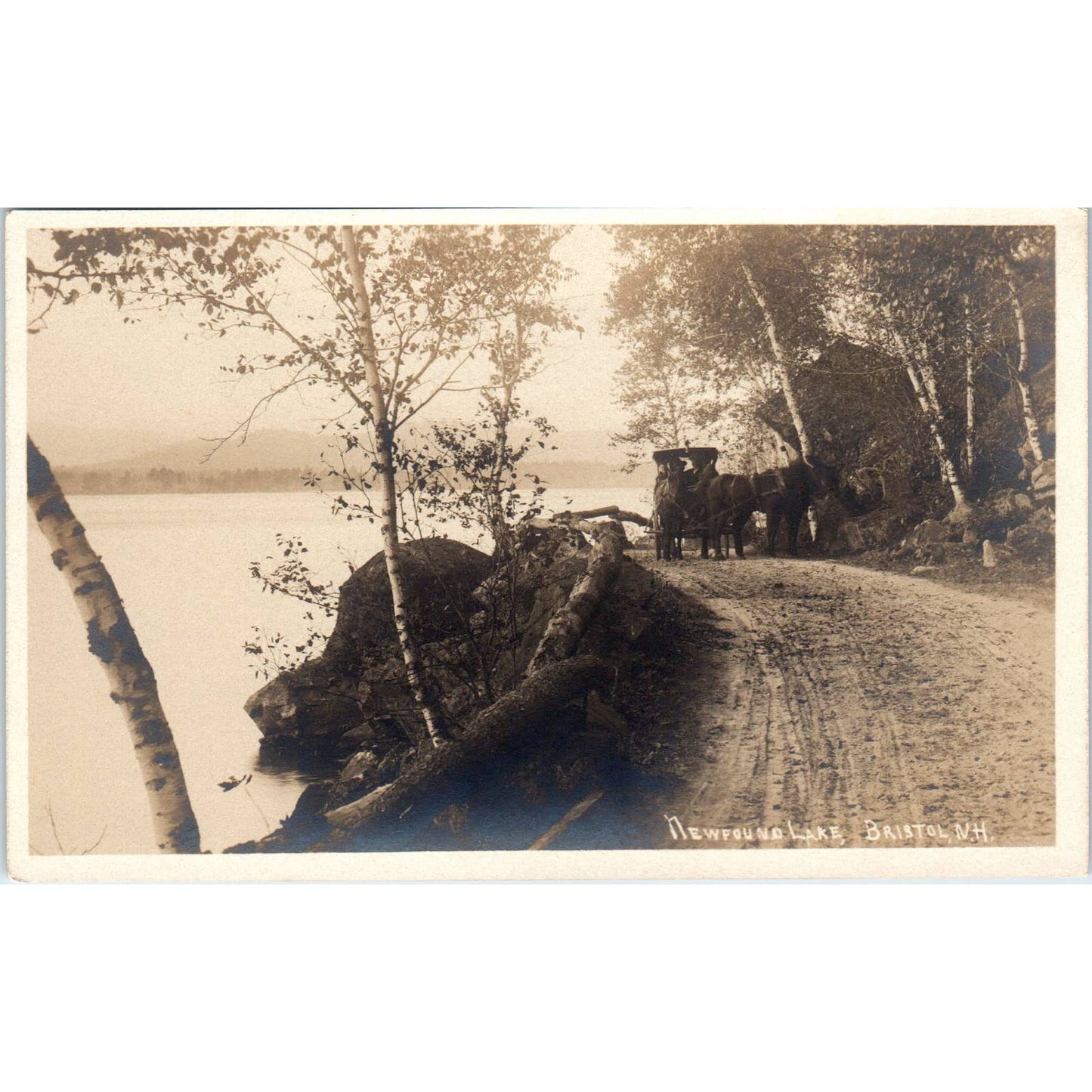 Antique Postcard RPPC Newfound Lake Bristol New Hampshire Horse & Buggy SE8