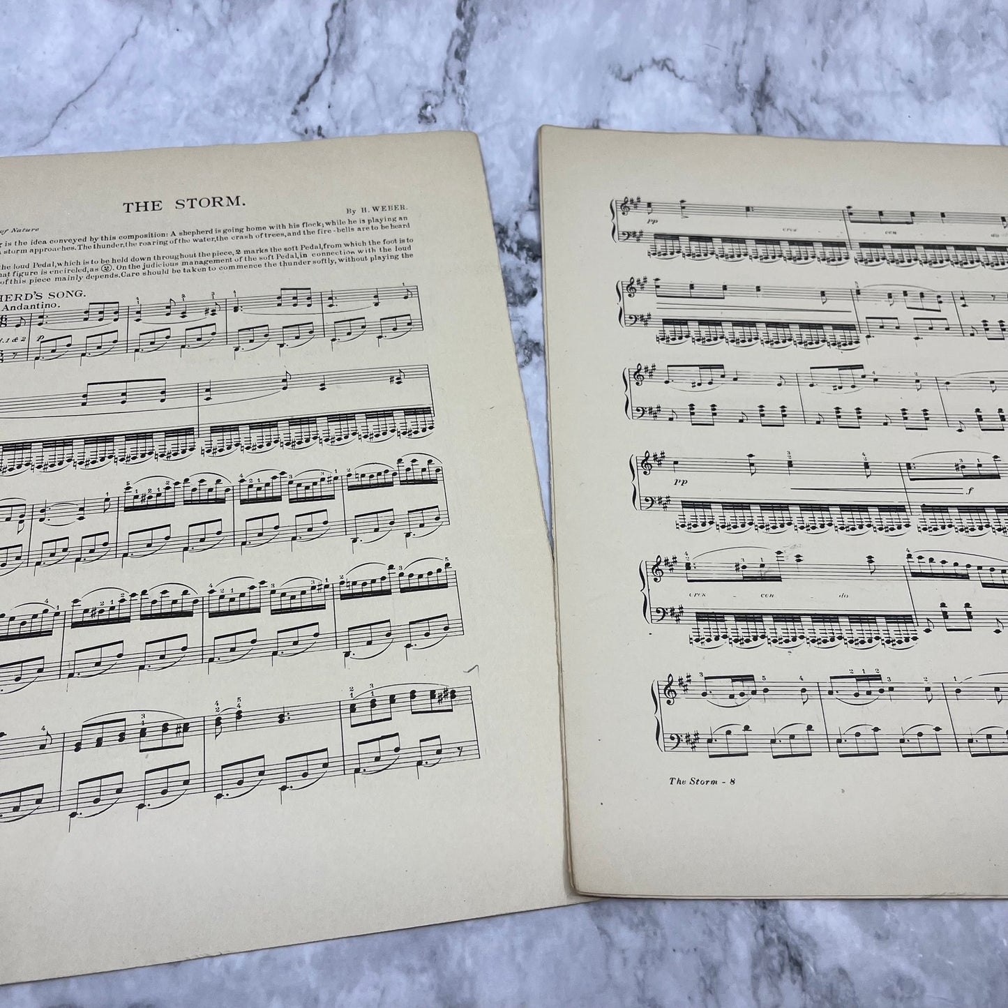 The Storm Sheet Music 1905 H. Weber Beaux Arts Edition Eclipse Publishing  V41-1