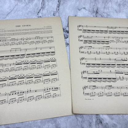 The Storm Sheet Music 1905 H. Weber Beaux Arts Edition Eclipse Publishing  V41-1