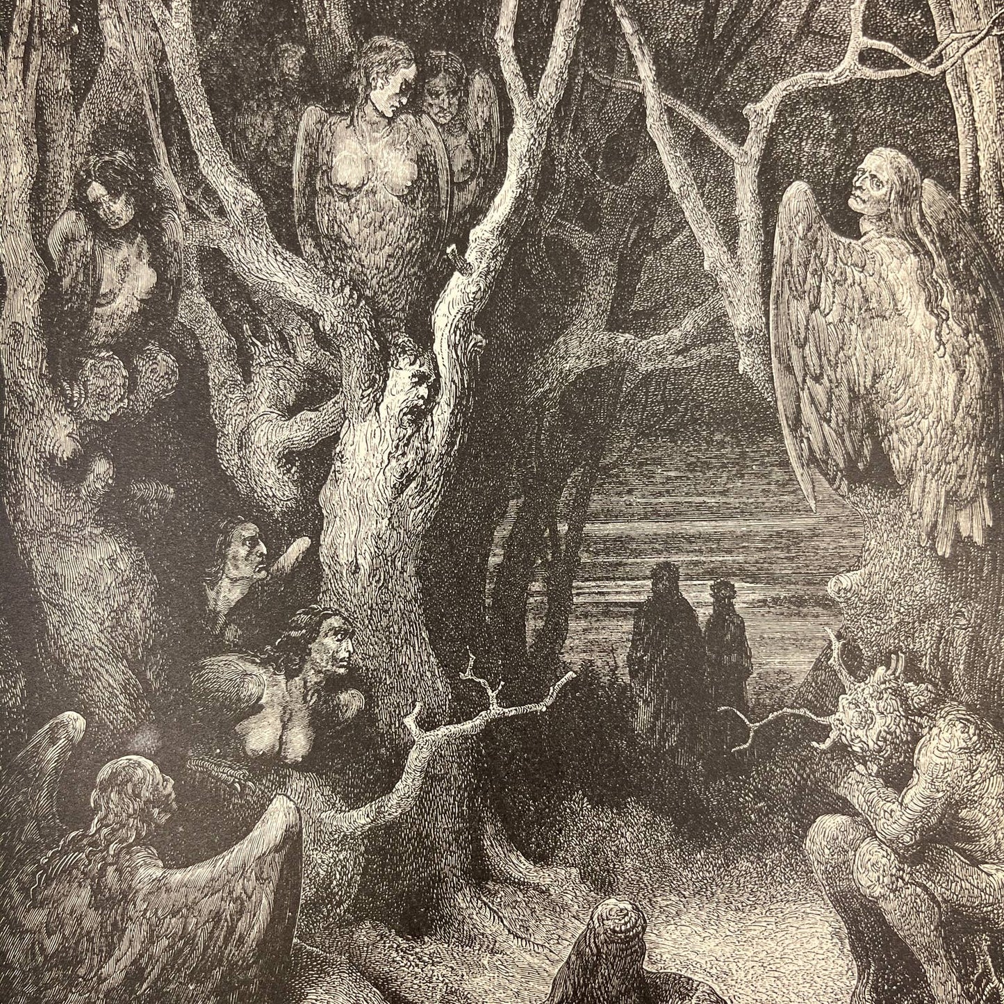 Original 1880s Gustave Dore Engraving Divine Comedy Harpies make their nest FL4