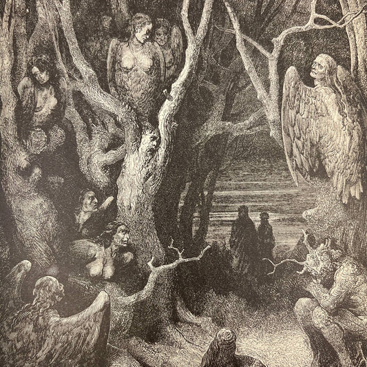 Original 1880s Gustave Dore Engraving Divine Comedy Harpies make their nest FL4