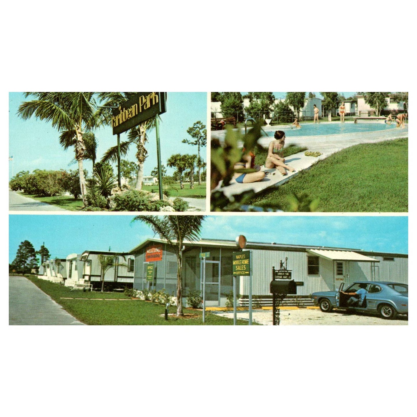 Caribbean Park Naples Mobile Homes Florida - Postcard TJ8-1