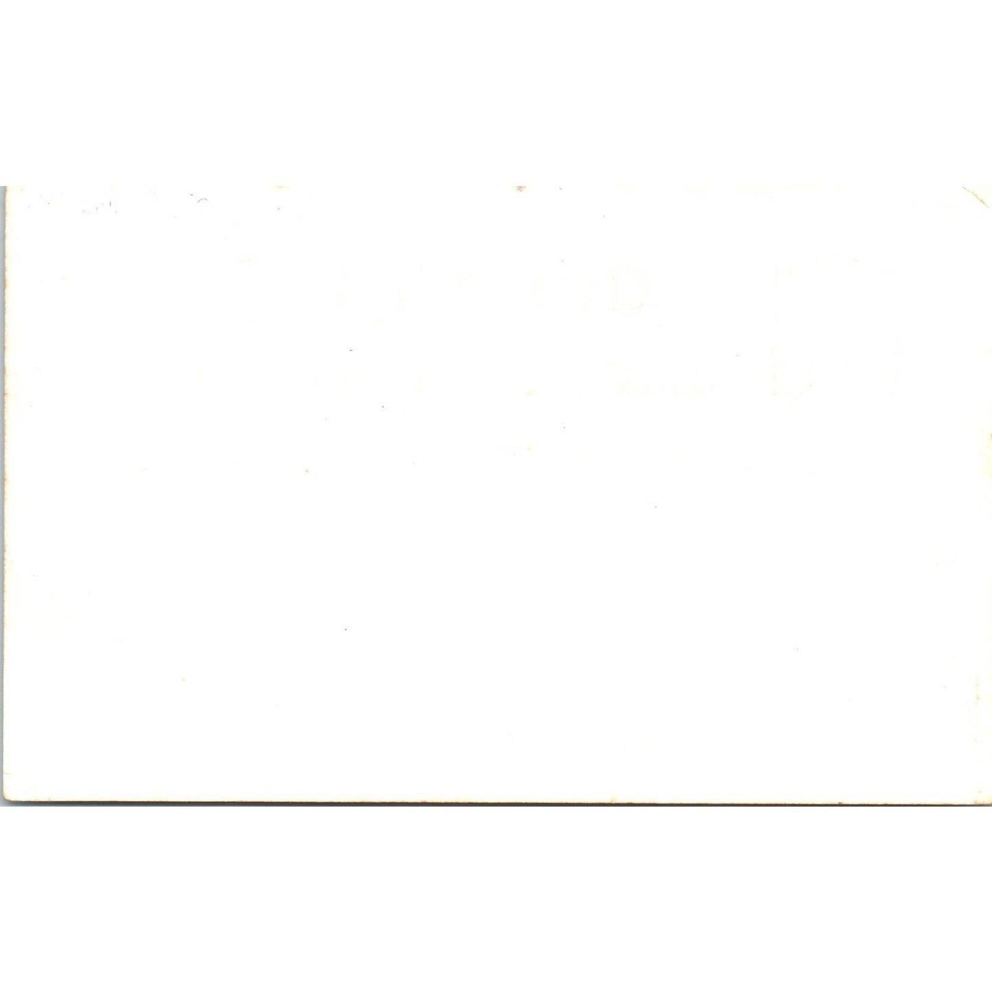 Dall Sheep McKinley National Park AK - Original RPPC Postcard TJ7-RP3