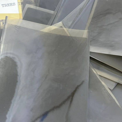 1925 Collection of Photos, Negatives Trees in CA San Diego Lake Arrowhead TK1-PL