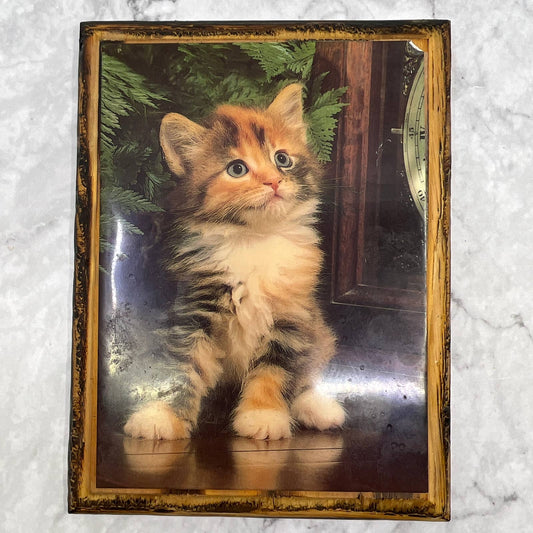 1970s Kitsch Wood Lacquered Mounted Decor Picture Calico Kitten 6x8"  TI7