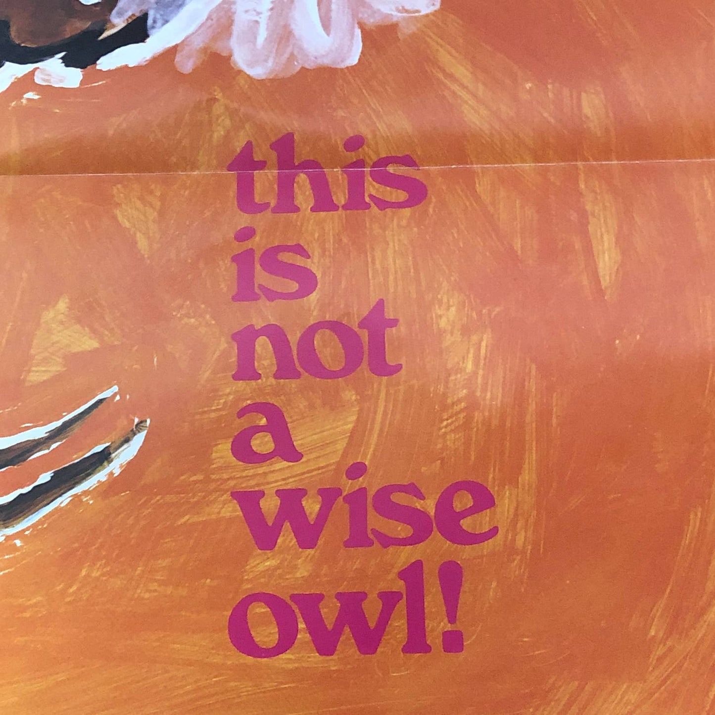 Rare 1970s Anti-Smoking School Poster This is Not a Wise Owl 21 x 16” AC9