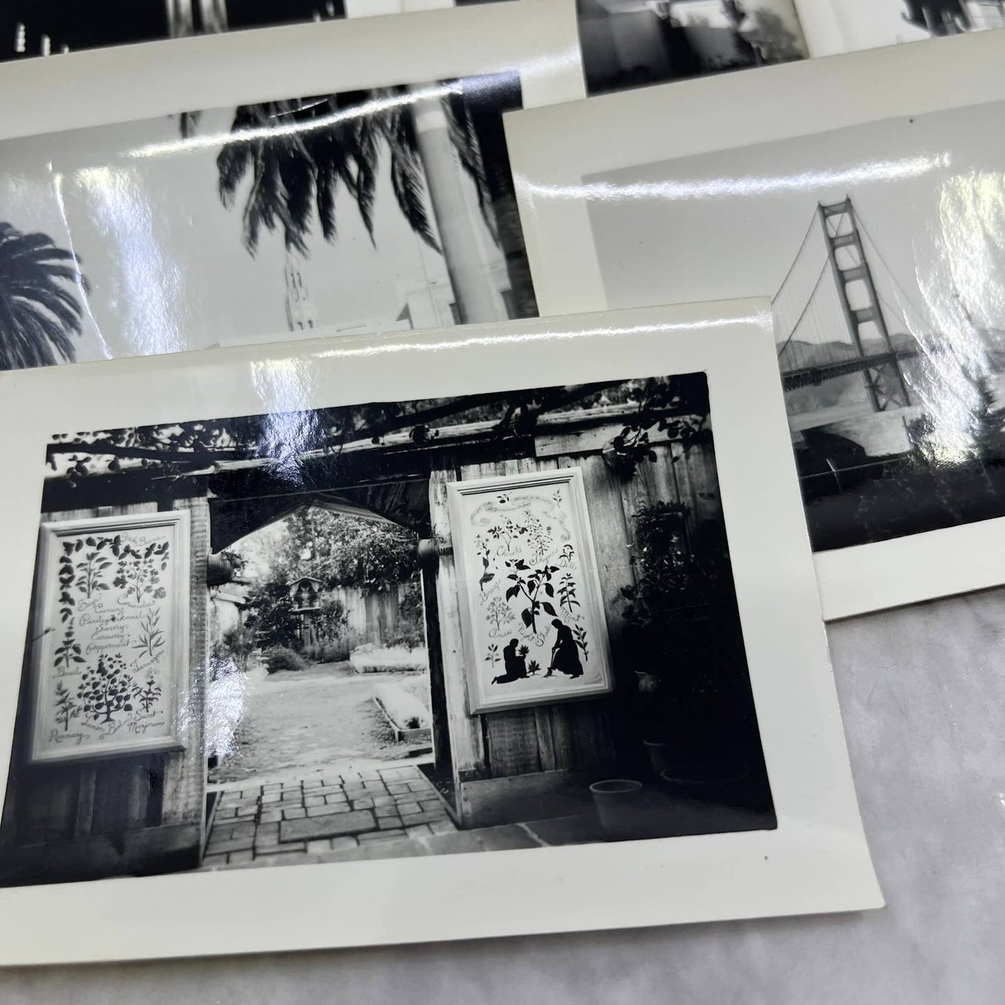 1939 Collection of Photos & Negatives San Francisco & Fair Stanford TJ9-PG6