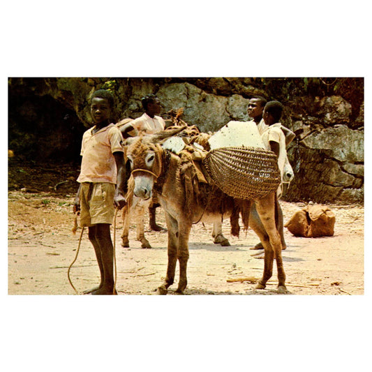 Vintage Postcard - Rural Ice Vendor Jamaica W.I. AD9