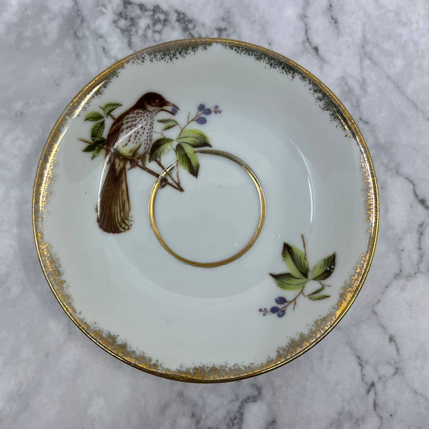 Vintage Fine China Saucer ONLY Demitasse Olimco Brown Thrasher TA7-7