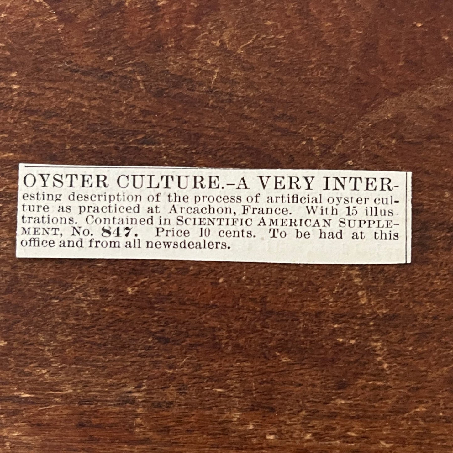 Oyster Culture Arcachon France Original Advertisement AD8-P28