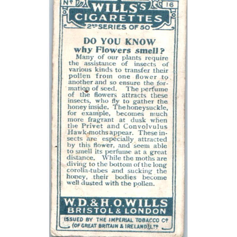 1924 Wills's Do You Know Cigarette Card 2nd Series. #16 Why Flowers Smell? SE5