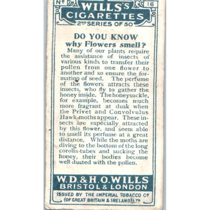 1924 Wills's Do You Know Cigarette Card 2nd Series. #16 Why Flowers Smell? SE5