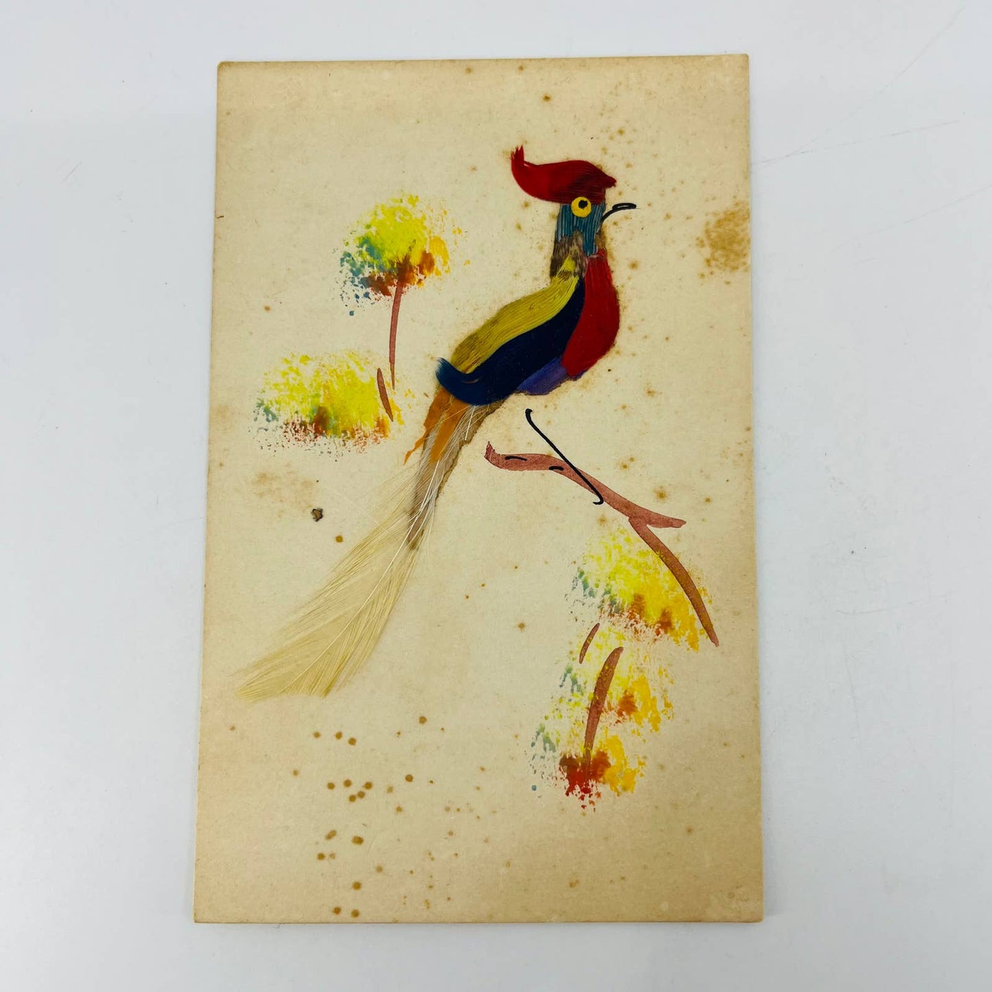 Antique Handmade Feather Art Bird Postcard Made in Mexico AA2