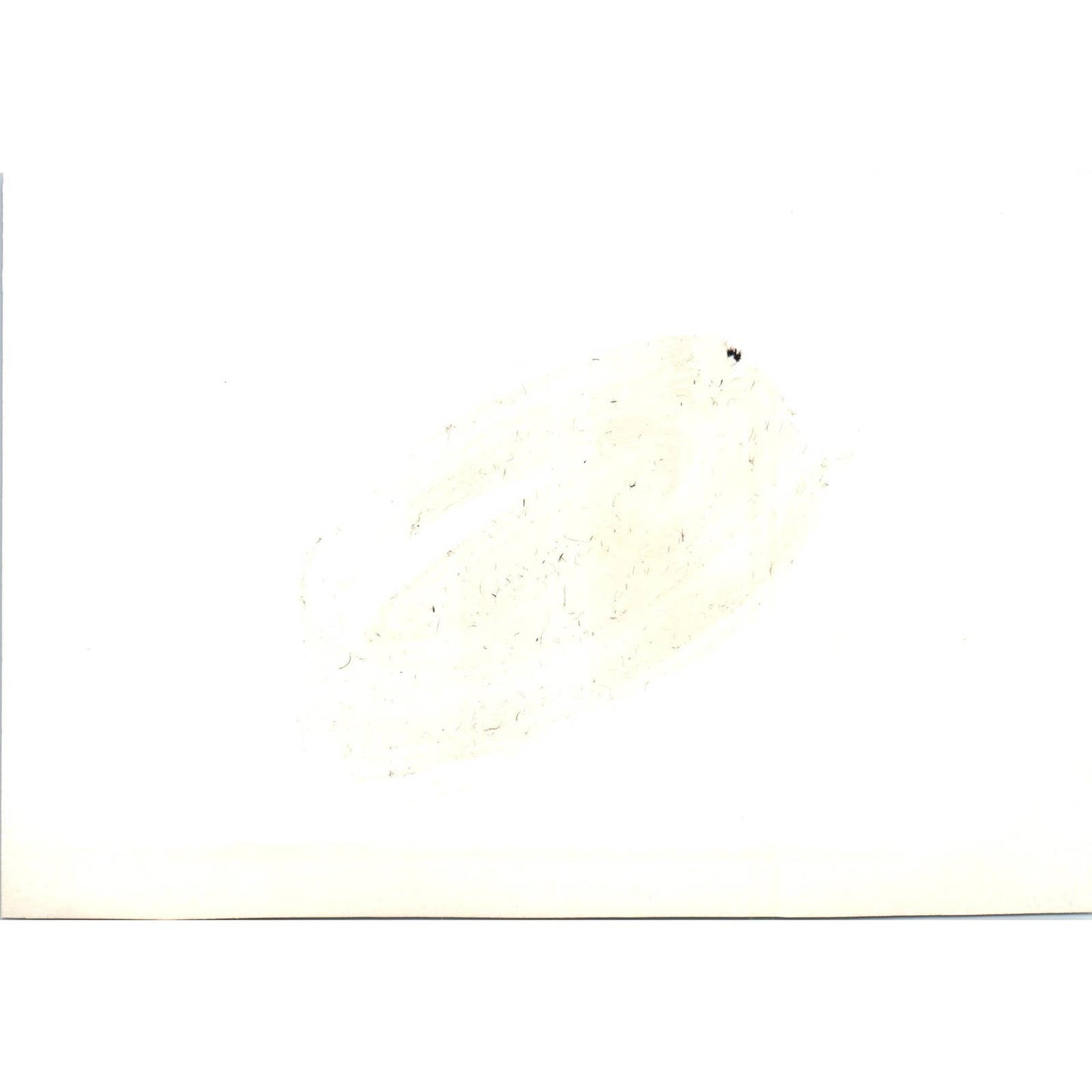 Robert F. Delaney Tufts University Banquet Address 1966 Photo 5x7 TK1-P4