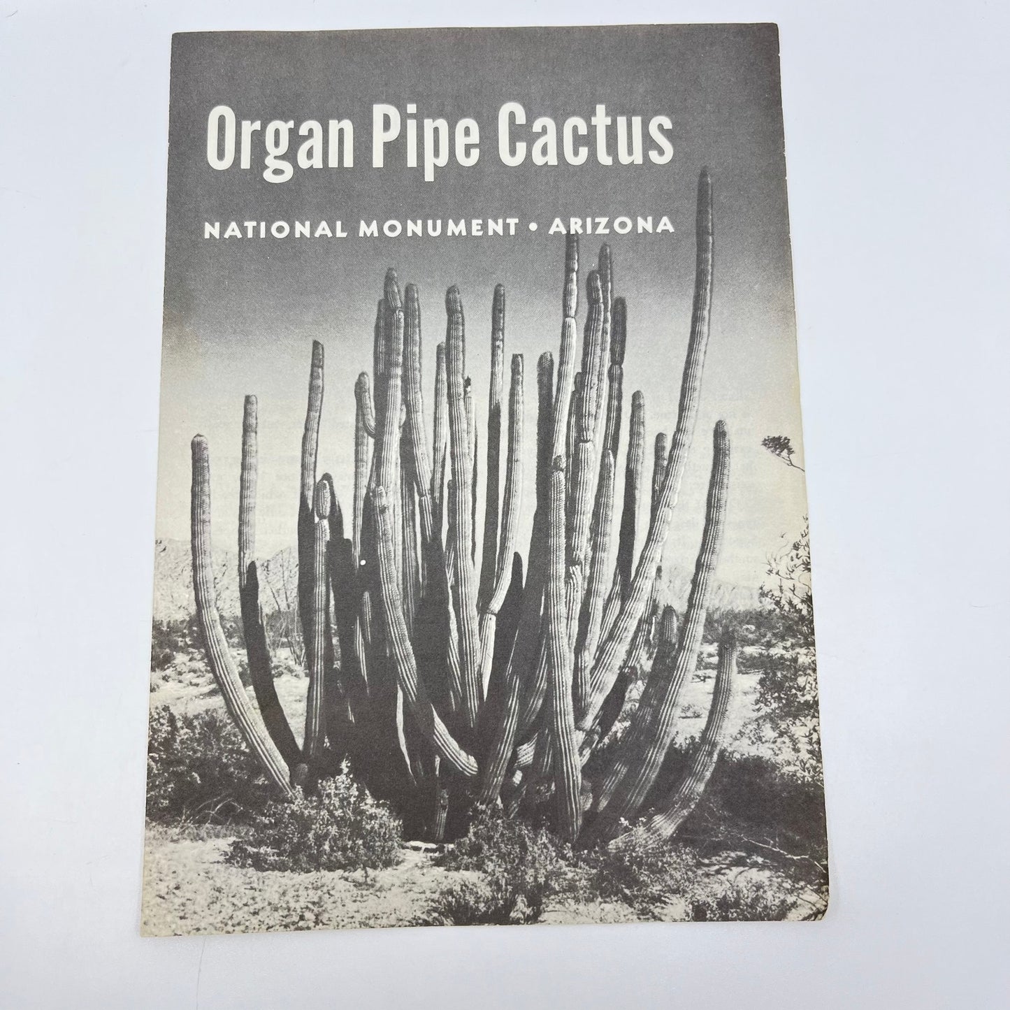 1961 Organ Pipe Cactus Fold Out Brochure National Monument Arizona L4-6