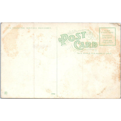 A Cuban Wet Nurse Goat c1910 Havana Cuba Original Postcard TK1-P16