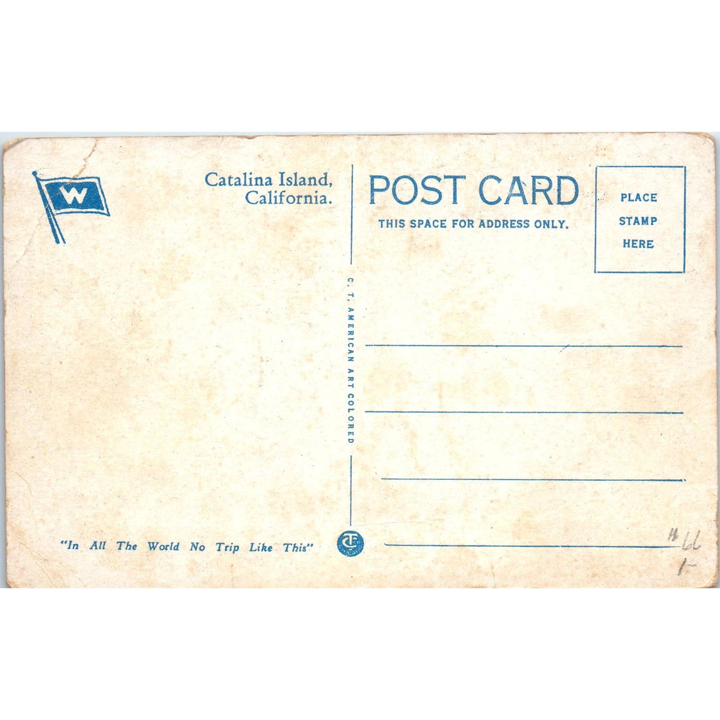 High School at Avalon Catalina California c1910 Original Postcard TK1-P20