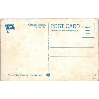 High School at Avalon Catalina California c1910 Original Postcard TK1-P20