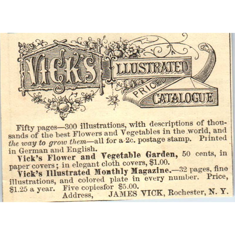 1878 Magazine Ad - Vick's Illustrated Price Catalog James Vick Rochester NY SF2