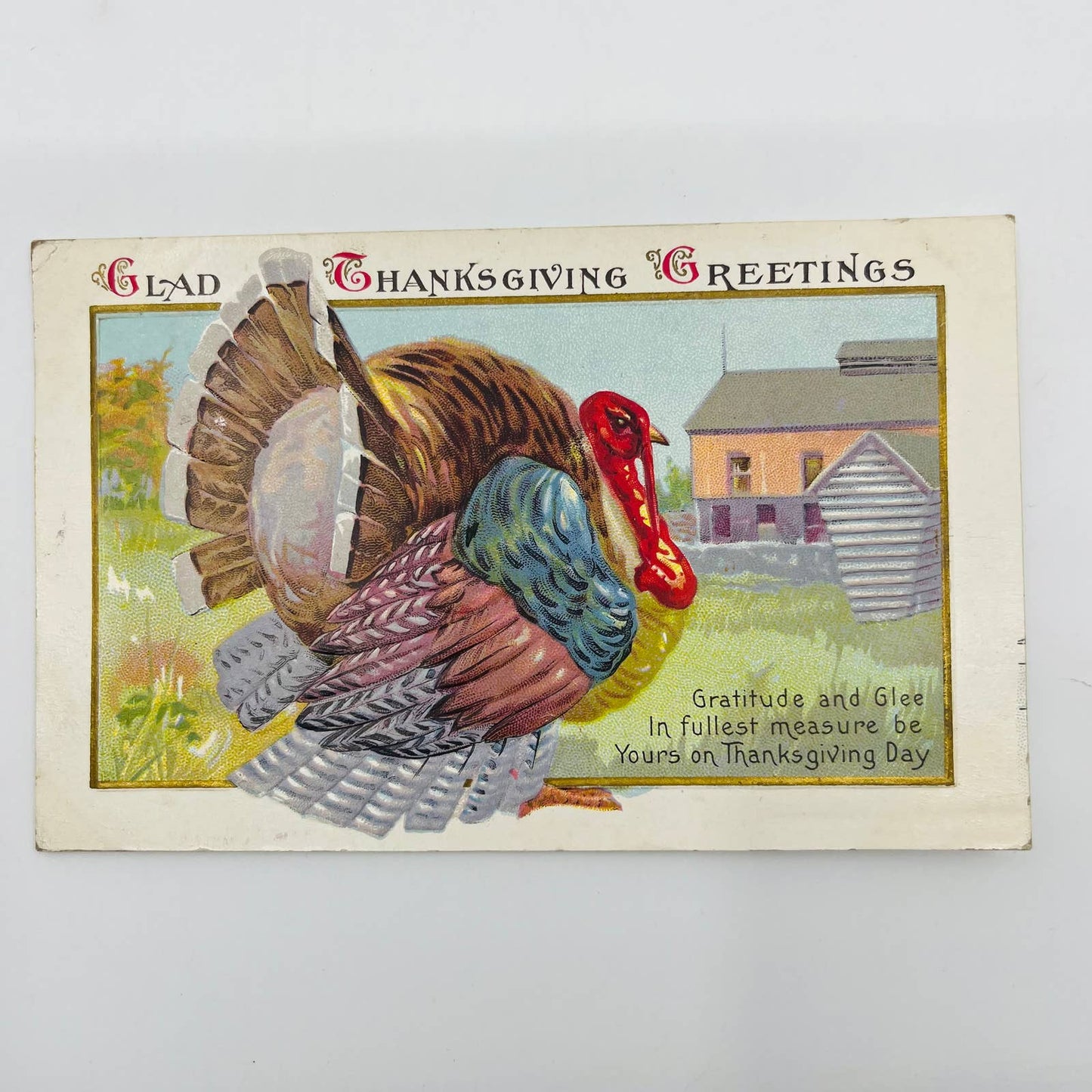 1916 Thanksgiving Post Card Colorful Turkey Poem Embossed PA3