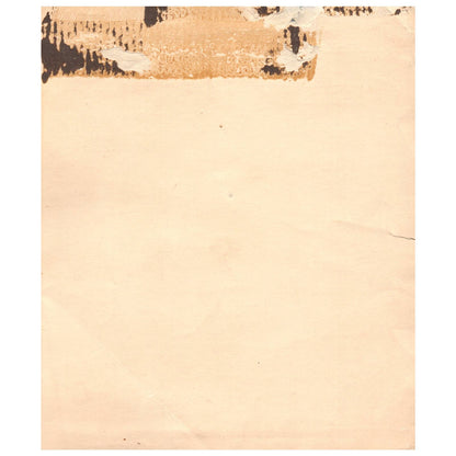 Vintage Original Art Print - Song of the Bluebird by Zula Kenyon ~7x8.5" AD1