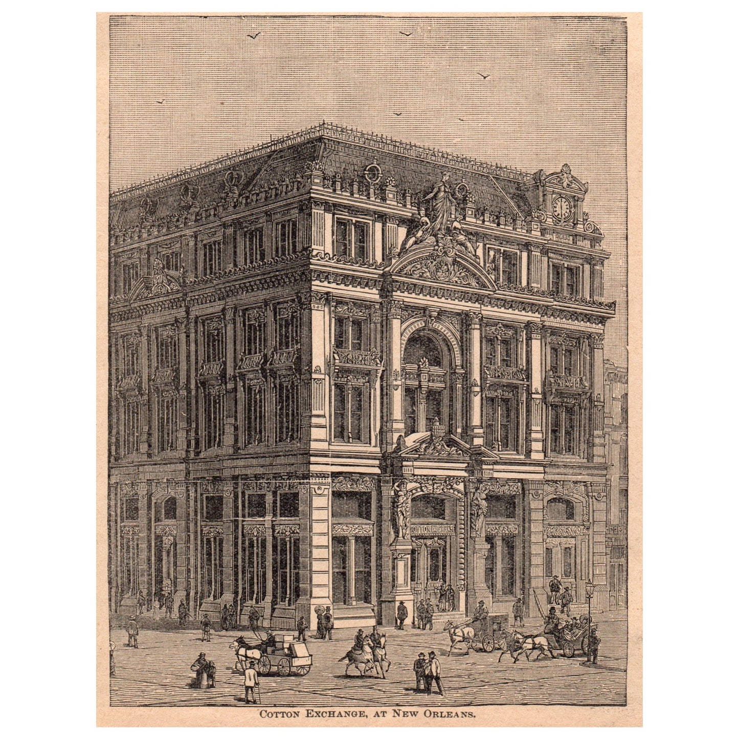 Cotton Exchange at New Orleans 5x8" Original Engraving 1899 AK5-18