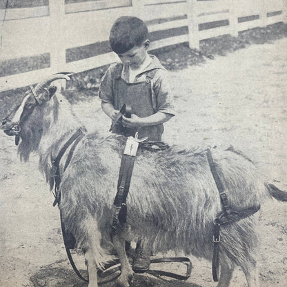 1926 June 17 - Pennsylvania Farmer Magazine - German Potash Mine Boy & Goat FL4