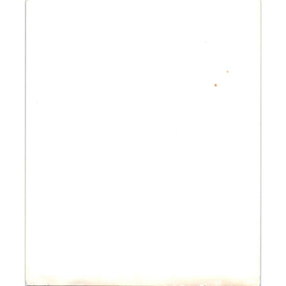 c1970 Original Photograph USCG Coast Guard Staten Island Group Shot 8x10 AD6-4