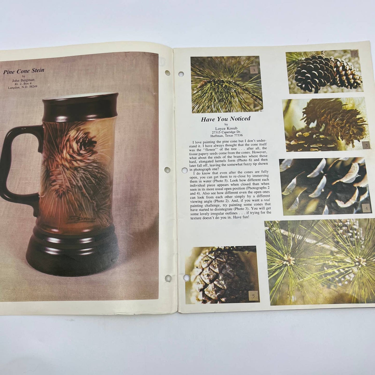 1979 Nov - The China Decorator Magazine - G. Cain TH8