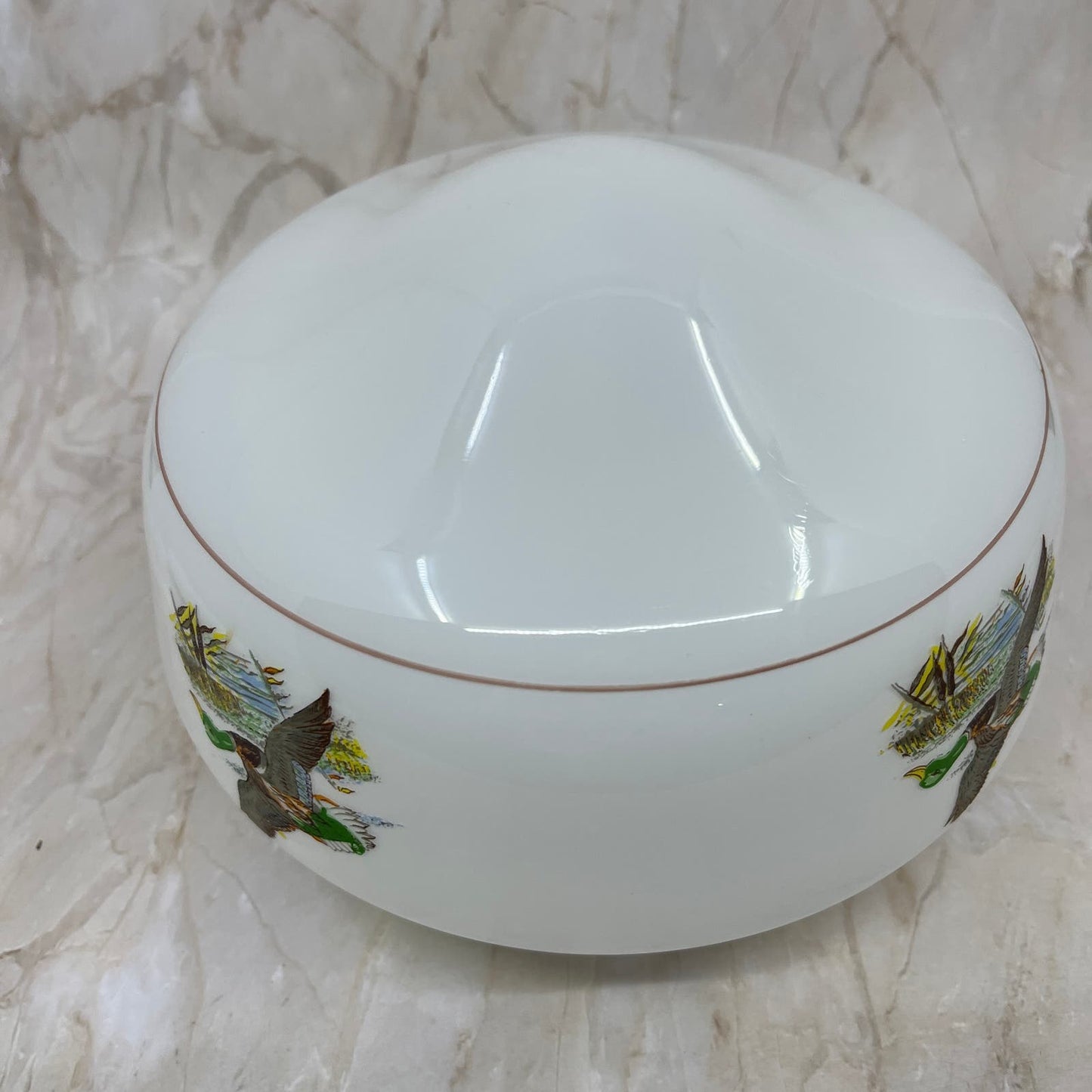 Vtg Mallard Duck Glass Light Shade Fan Replacement Pendant 3.75" Fitter TJ9