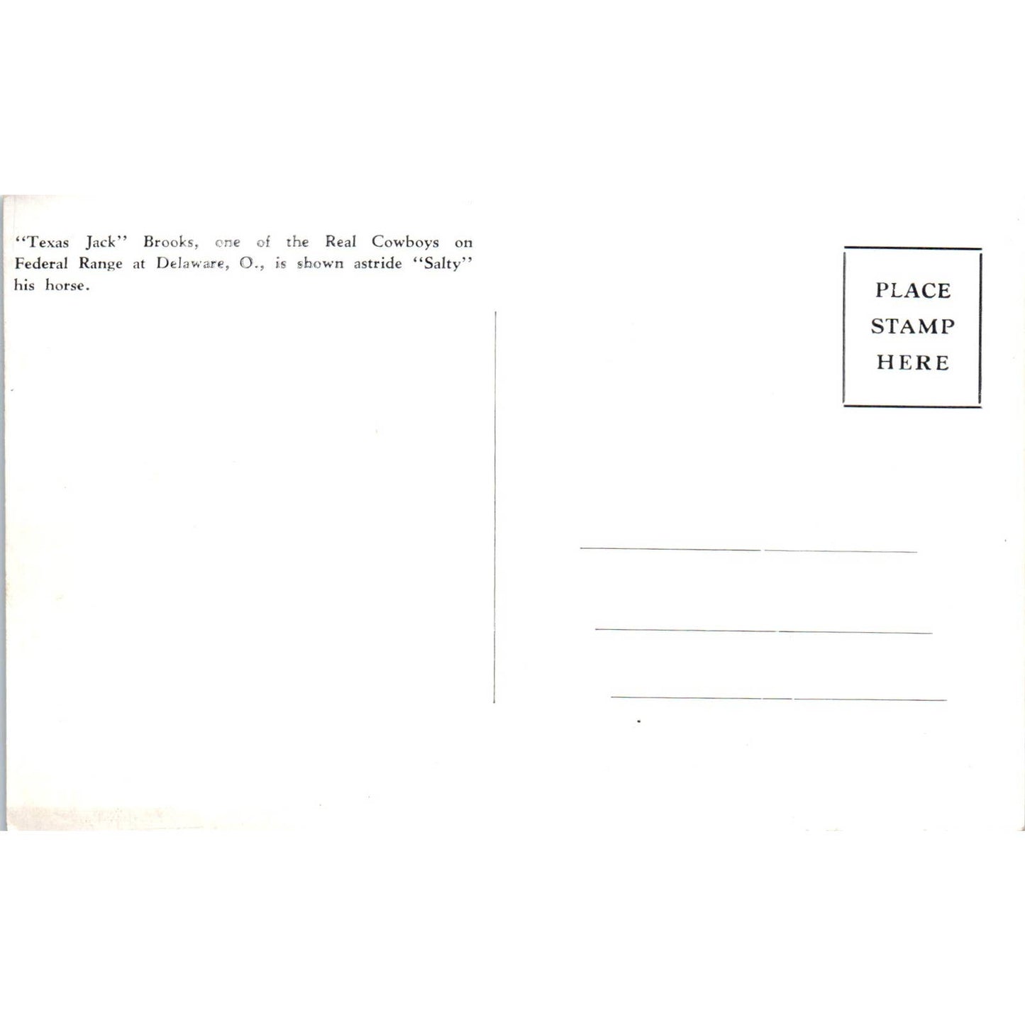 Vintage Postcard Texas Jack Brooks Federal Cattle on Range at Delaware Ohio TD9