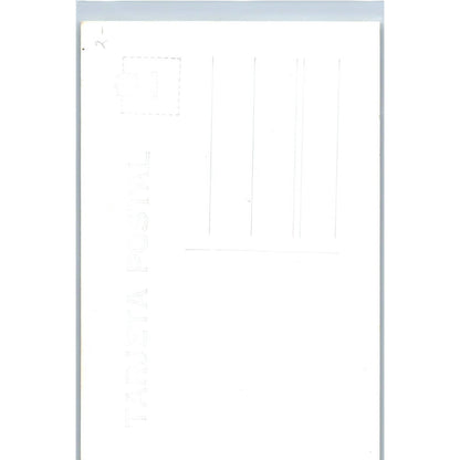 Grutas De Cacahuamilpa El Trono De La Reyna Mexico Original RPPC Postcard TJ7-MP