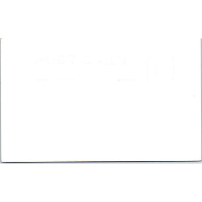 Redwood Highway California - Original RPPC Postcard TJ9-P1