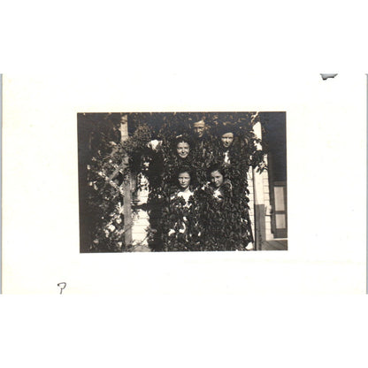 Brothers and Sisters Posing in Ivy RPPC Real Photo Postcard PB1
