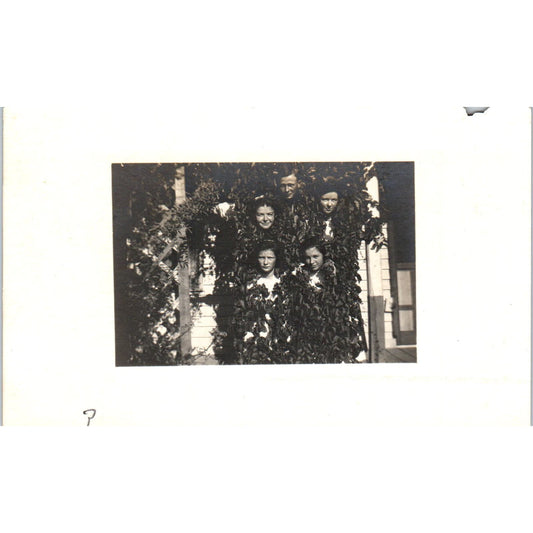 Brothers and Sisters Posing in Ivy RPPC Real Photo Postcard PB1