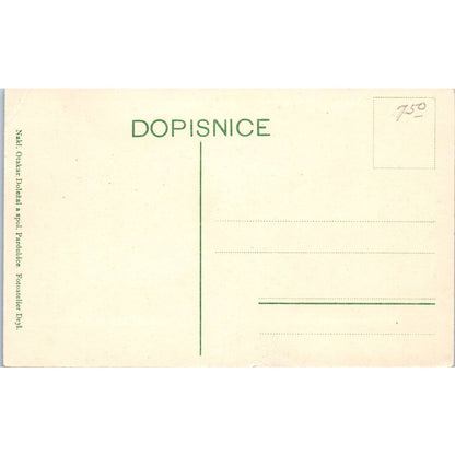 Czech Fox Hunting Pardubice Parforent hunts c1910 Original Postcard TK1-23