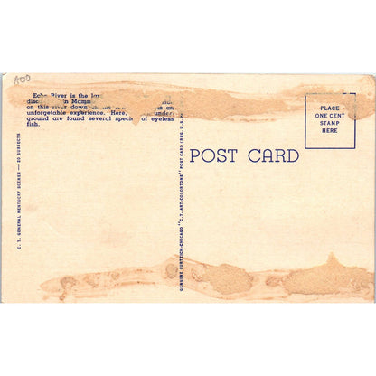 Echo River Underground Mammoth Cave Kentucky Original Postcard TK1-P1