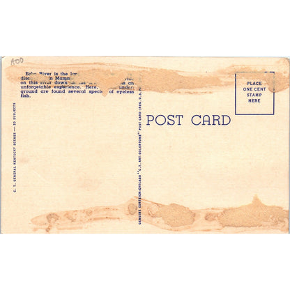 Echo River Underground Mammoth Cave Kentucky Original Postcard P3-3