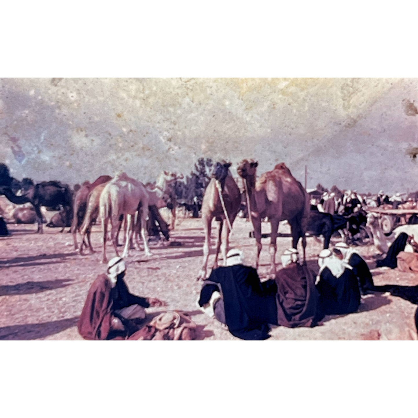 1960s Israel Holy Land in Color Arabs in Israel Set of 6 2x2 Slides TK2-S2-5