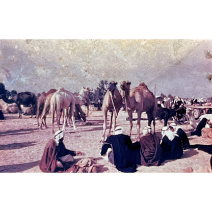 1960s Israel Holy Land in Color Arabs in Israel Set of 6 2x2 Slides TK2-S2-5