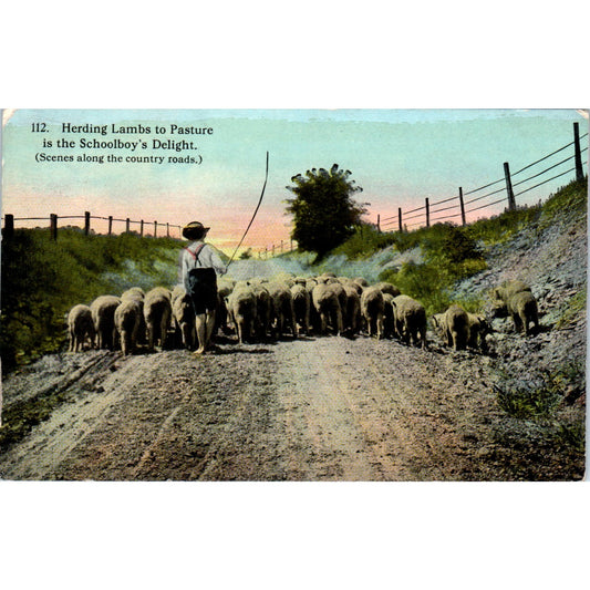 Herding Lambs to Pasture c1910 Original Postcard P2-1