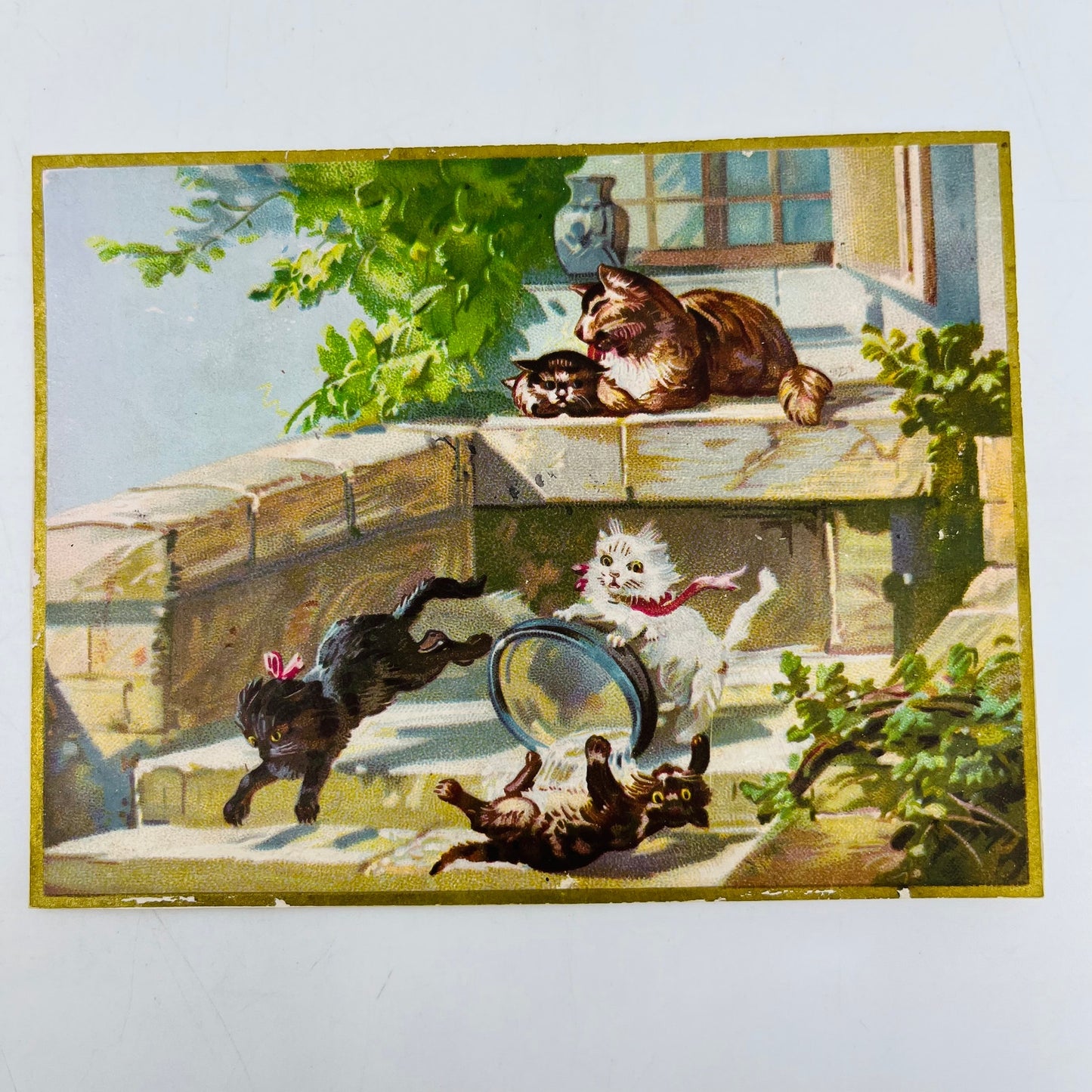 1880s Embossed Victorian Greeting Card Illustrated Kitty Cats Playing SAH9-H7