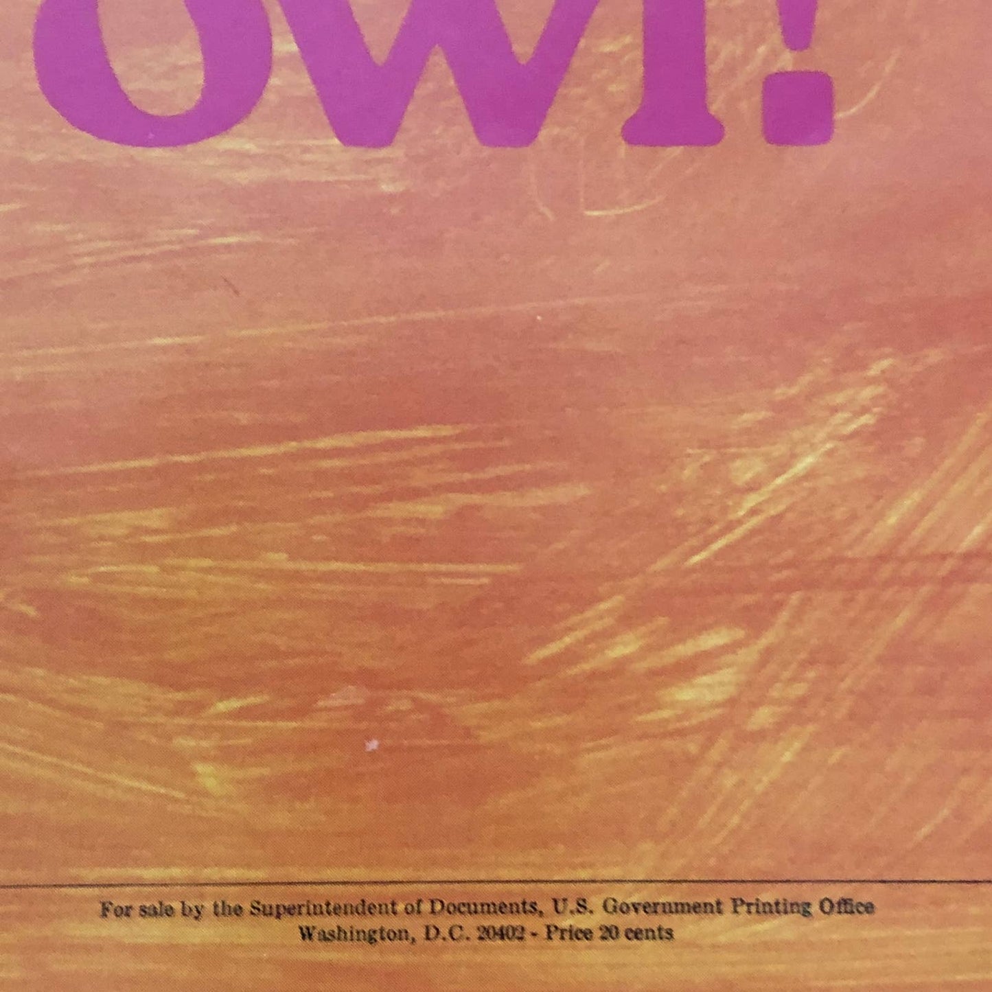 Rare 1970s Anti-Smoking School Poster This is Not a Wise Owl 21 x 16” AC9