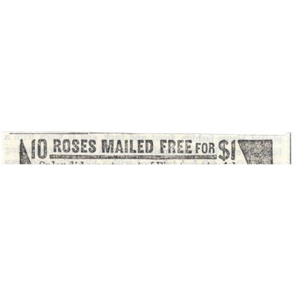 Roses Mailed - R.C. Hanford & Son Columbus OH - Ad 1878 Original TJ7-L2-3