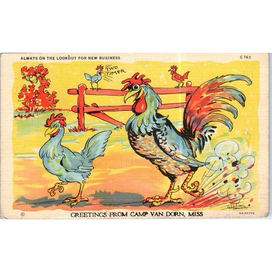 Cheating Rooster Comic Humor Camp Van Dorn Mississippi Original Postcard TK1-P13